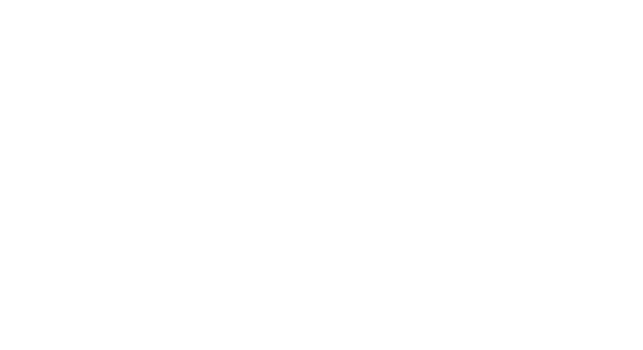 Festi Fans